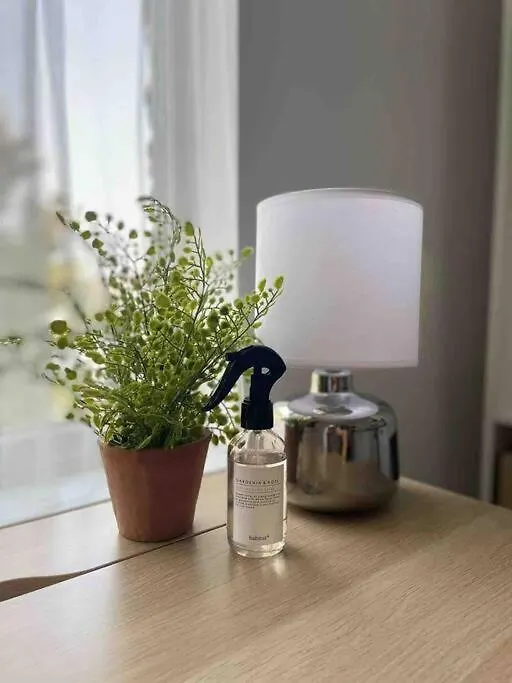Studio Apartment - London